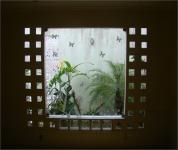 JARDIM