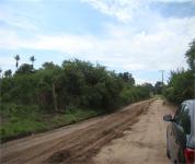 ESTRADA
