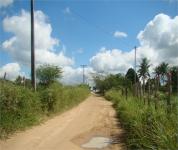 ESTRADA