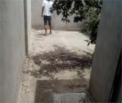 QUINTAL