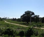 ÁREA