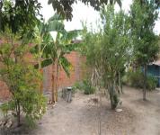 QUINTAL