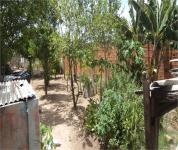 QUINTAL