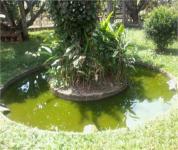 LAGO