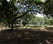 AREA DO TERRENO