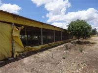 GALPÃO