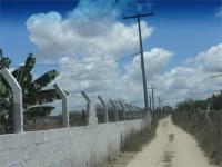ESTRADA