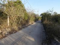 ESTRADA
