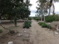 FAZENDA